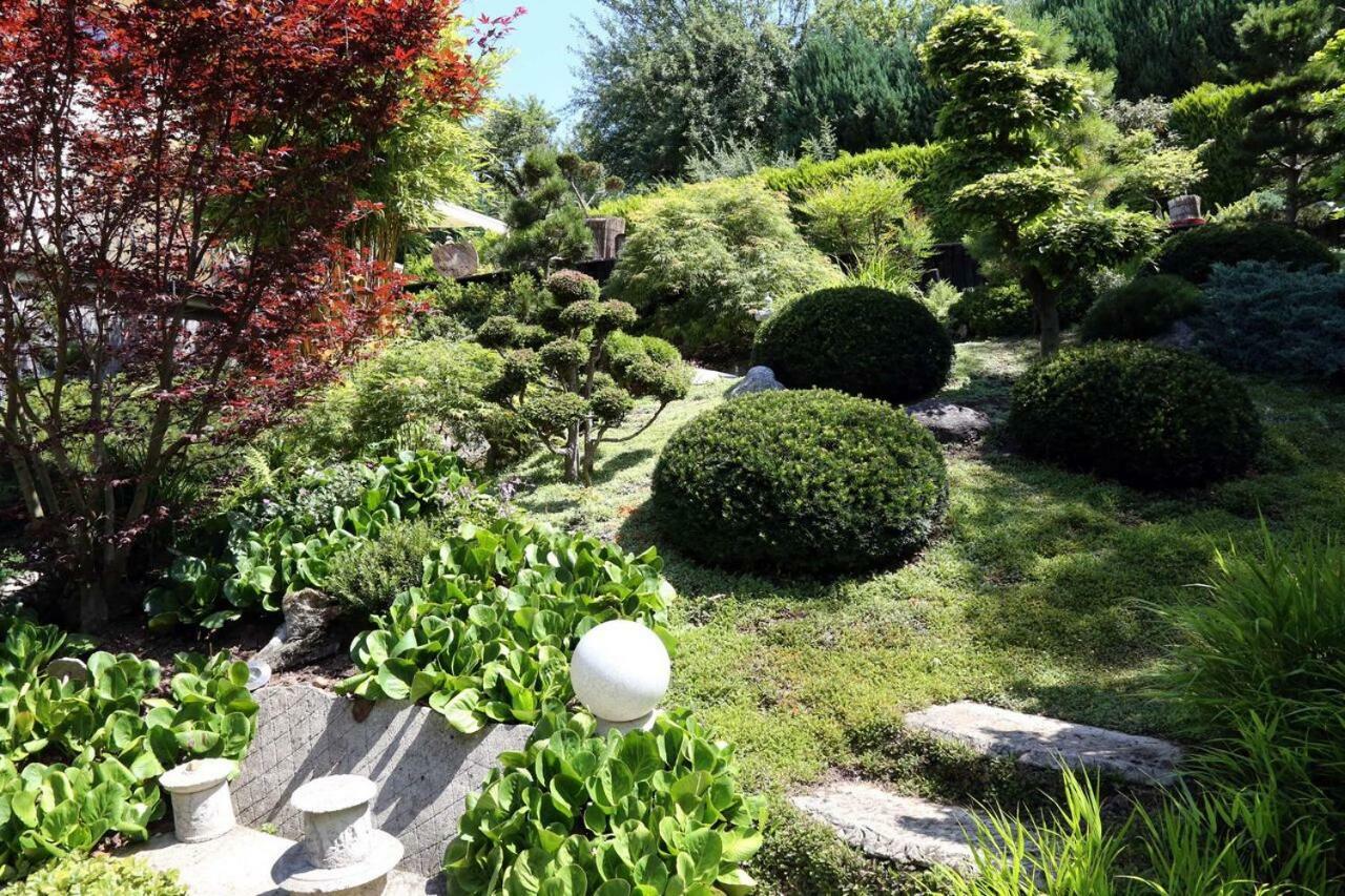 Unter SchönmattenwagPanoramablick公寓 外观 照片
